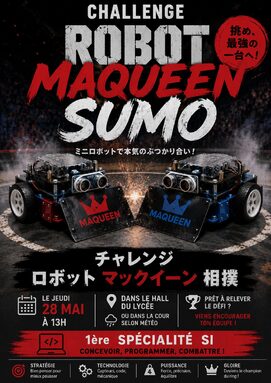 Challenge_robot_sumo_compressed.jpg